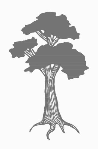 plettgreenwood's profile picture. Greenwood is an Independent Montessori Pre-primary and National Curriculum Primary school in Plettenberg Bay, South Africa.