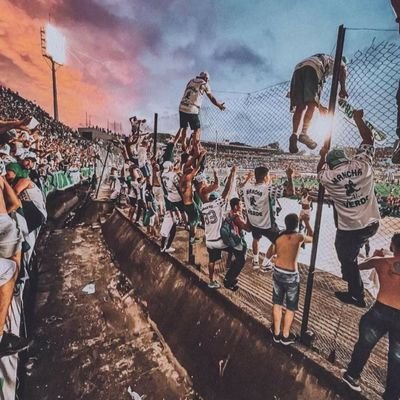 Deus,Família,S.E.Palmeiras,Amigos,Divertido,Pizza,Cinema,Animais.O cair é do homem,o levantar é de Deus.