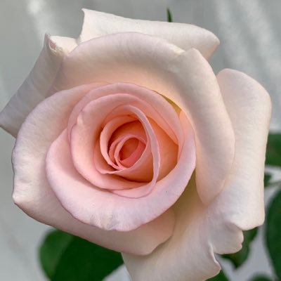 lidiangarcia's profile picture. Soy Contadora Publica, anti K, anti peronista, defensora de la República, y de los principios liberales.