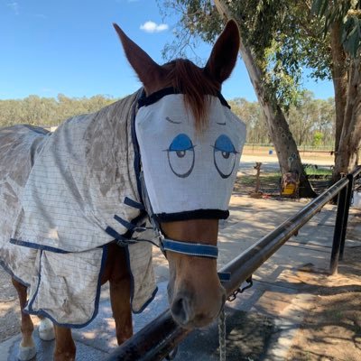 harness racing owner/breeder, North Melbourne and Liverpool supporter