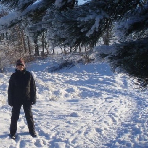 redwellingtons's profile picture. 