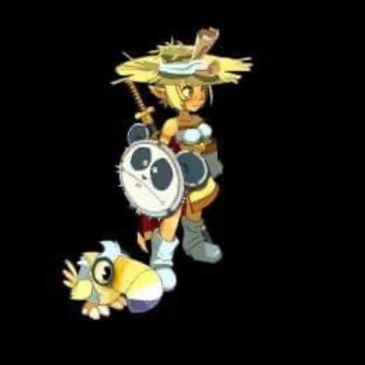 Joueur Dofus