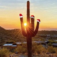 Btcitadad 13% ☂️ (@btcitadad) 's Twitter Profile