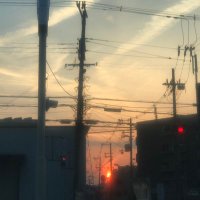 tomo941 (@tomo_941) 's Twitter Profile