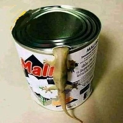 satan_state13's profile picture. 