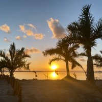 Francesc Magi Carles (@francescmagi) 's Twitter Profile