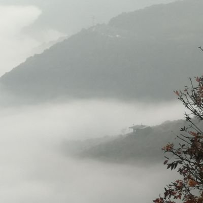 CanerYavuz81's profile picture. 