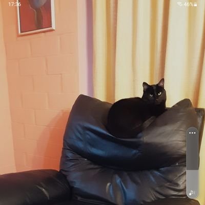 dycrass's profile picture. Sentido comun y logica...