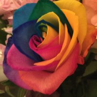 Margaret Twist (@murphy31btwist) 's Twitter Profile Photo Margaret Twist (@murphy31btwist) 's Twitter Profile Photo