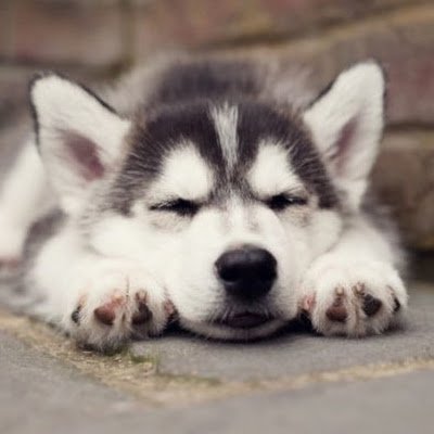 jj_after_darkk's profile picture. etai's foot