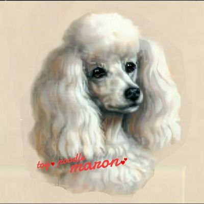 qy903JSirUVRvq1's profile picture. 多くの動物·植物が人間の都合で生命を脅かされる 日が無くなる事を願う
還暦 過ぎの生き物好き🐩

背景画像は亡き愛犬まろんの祭壇