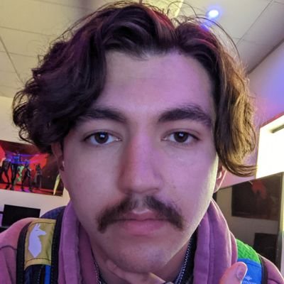 twitch streamer and social media consultant