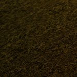 Dylanrblxgamer's profile picture. eh