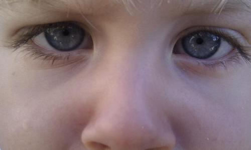 5kot's profile picture. techie, lax'er, GTD'er, drupalista, problem solver, problem creator, unreasonable