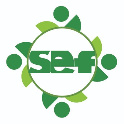 sef4education Profile Picture