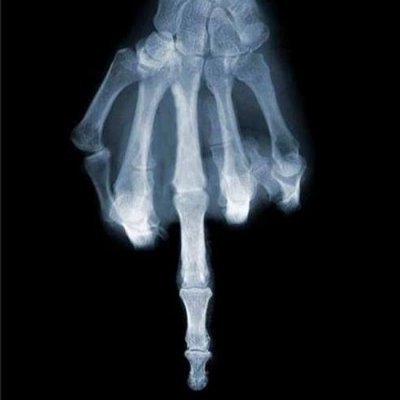 LuzRD_Gaming's profile picture. 