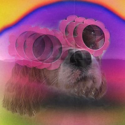 britthalladay's profile picture. proud rat girl🐀