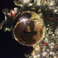 Kasia (@purple_of_lily) 's Twitter Profile Photo Kasia (@purple_of_lily) 's Twitter Profile Photo