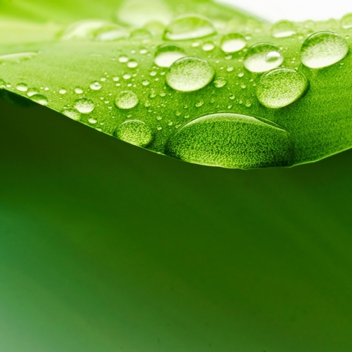 Your comprehensive online green directory for South Africa! We're adding companies to the site daily. List your green company here: http://t.co/aveSYxoT