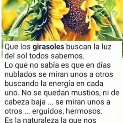 “To be kind is more important than to be right. Many times, what people need is not a brilliant mind that speaks but a special heart that listens”🙏🏼