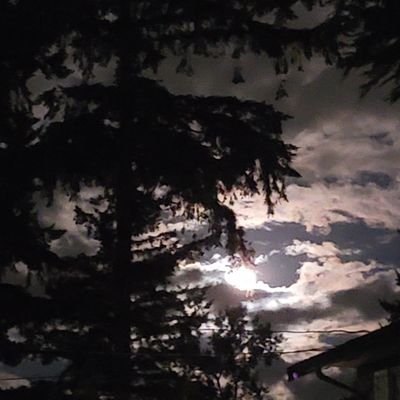 Les011111's profile picture. I have fun 3d printing and learning the rise and dips of crypto. I love my kitties 😸