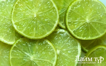 lime_tour's profile picture. Мы предлагаем широкий выбор экскурсий, лучшие предложения по детскому отдыху,отдых за рубежом.