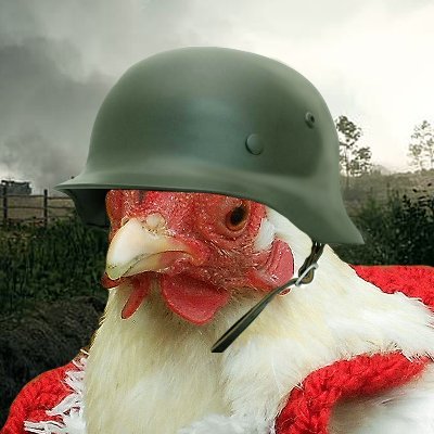 Chicken Soldierさんのプロフィール画像