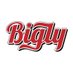 Go Bigly (@biglyboys42069) Twitter profile photo