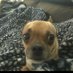 carl (@sand_eater420) Twitter profile photo carl (@sand_eater420) Twitter profile photo