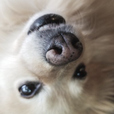GumbsGumbs8's profile picture. ima cool person