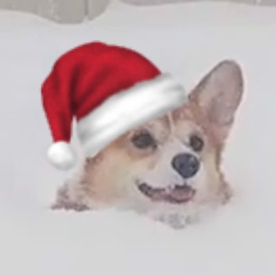 snowyydog Profile Picture