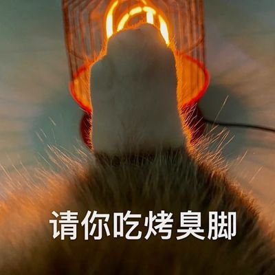 4tCXoQyw35wtfav's profile picture. no