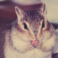 ako* (@5122014) 's Twitter Profile