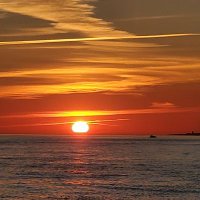 VikingKingNyc (@vikingkingnyc66) 's Twitter Profile Photo VikingKingNyc (@vikingkingnyc66) 's Twitter Profile Photo