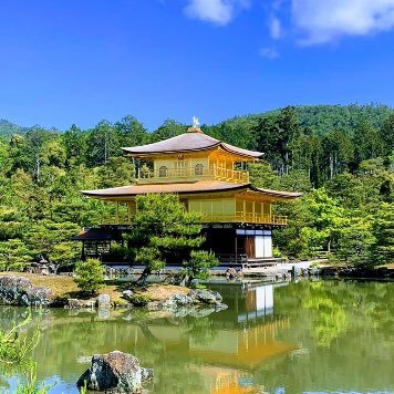 hamasyo244's profile picture. 保守派です！