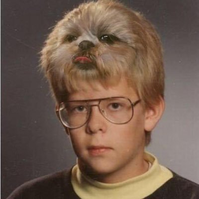 youdont78924191's profile picture. I am sarcastic.