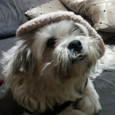 Iagoさんのプロフィール画像