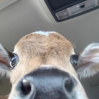 KRMCD07's profile picture. 