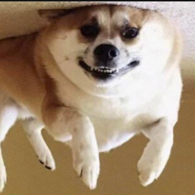 dez_nut99's profile picture.