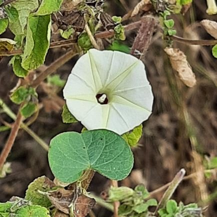 milindtwits's profile picture. My directorial venture https://t.co/JQEbKUcidN