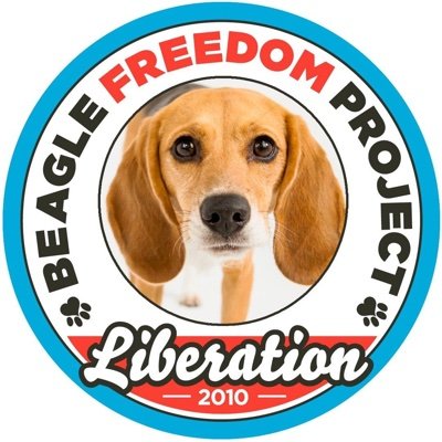 Beagle Freedom Project Profile