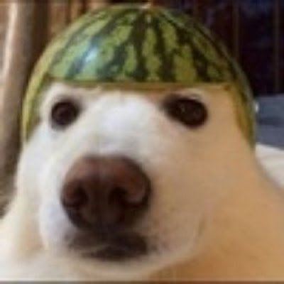 daengdaengsseu1's profile picture. 