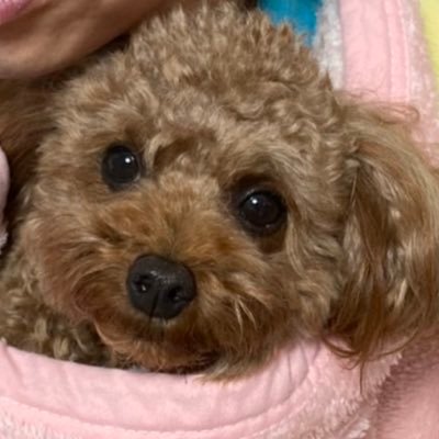 2Z9jfkq70Dlw7le's profile picture. 