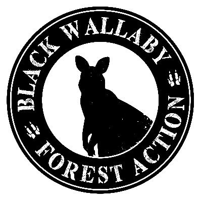 Black Wallaby Forest Action