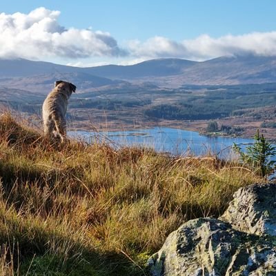 My name is Pip, Hoomum is Meg and Hoodad is @PinetenColin. We love going walking and finding pine marten. Proud member of #BTposse 🏴󠁧󠁢󠁳󠁣󠁴󠁿🇺🇦