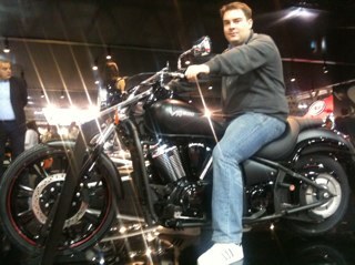 hansebamsen's profile picture. 