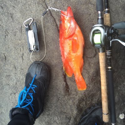 anan_smoll's profile picture. 多摩川と相模川/ルアー全般/アユイング/川スモール/サーフ/ソルトルアーめちゃくちゃやってた LFC