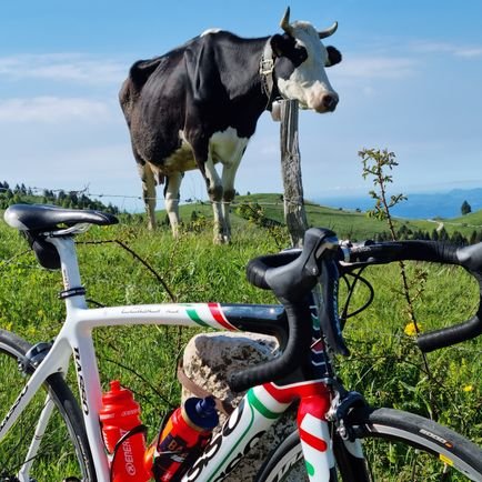 Living that Army life in Italy. Love cycling. Army PAO by day.