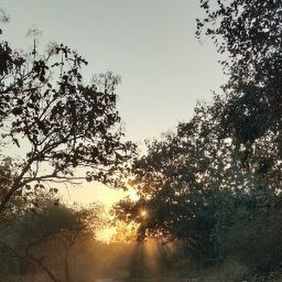 Drupal1210's profile picture. 