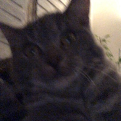 Louwfii's profile picture. bienvenue à tous,